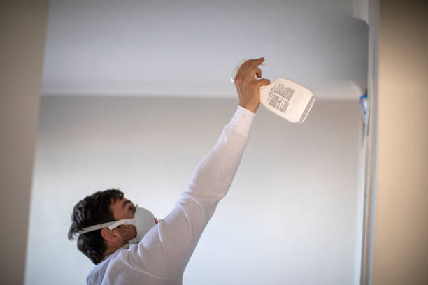 Office Mold Removal Services in Gallup, NM