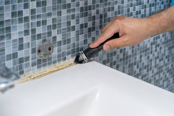 Best Commercial Mold Removal  in Gallup, NM