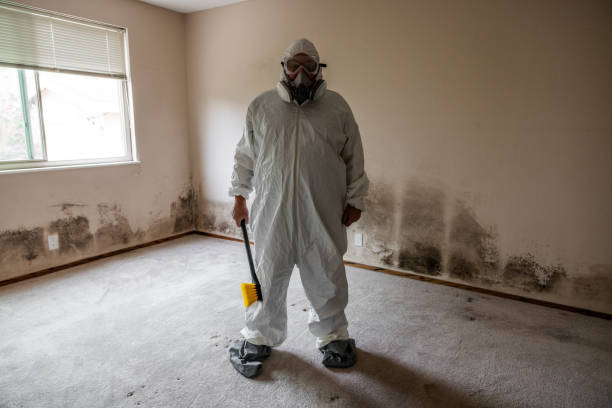 Crawl Space Mold Removal in Gallup, NM