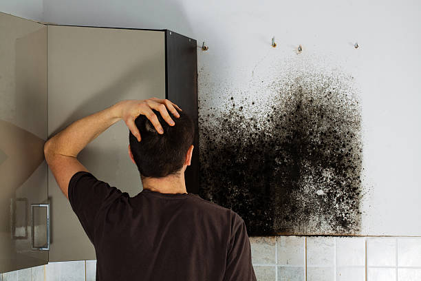 Best Mold Testing  in Gallup, NM